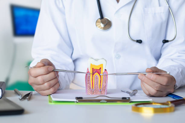 Best After-Hours Emergency Dentist in Brookside Village, TX
